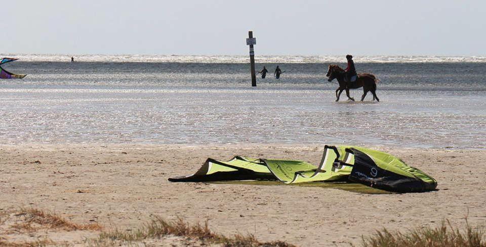 Fewo-Nordsee-Whg-11 Sankt Peter-Ording Eksteriør billede